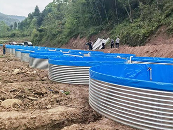 帆布魚池3米能養多少魚你知道嗎？