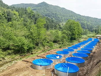 使用帆布魚池養魚的注意事項有哪些你知道嗎？